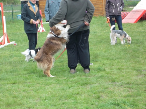 Garret sweet eyes du Chemin de la Lune aux Reves