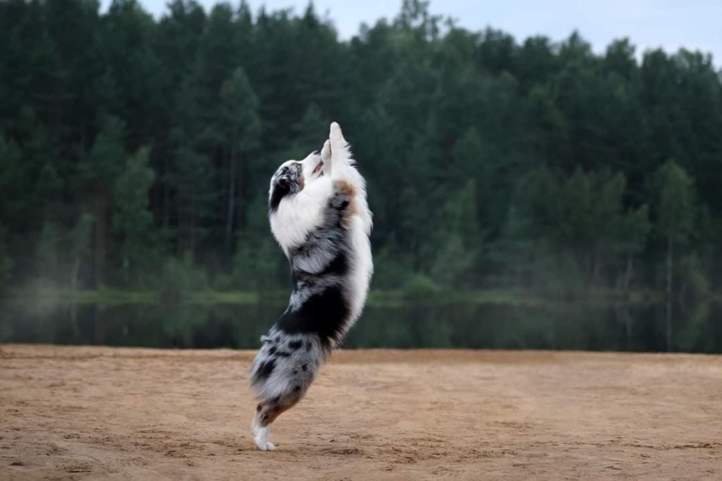 Publication : Dark Secret Garden