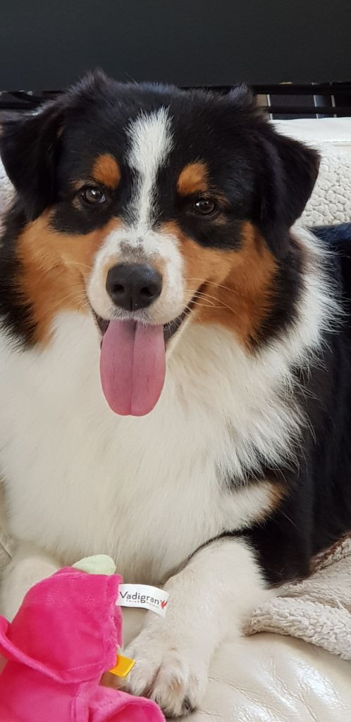 Publication : Dark Secret Garden Auteur : Camille bouchand / alessi righet