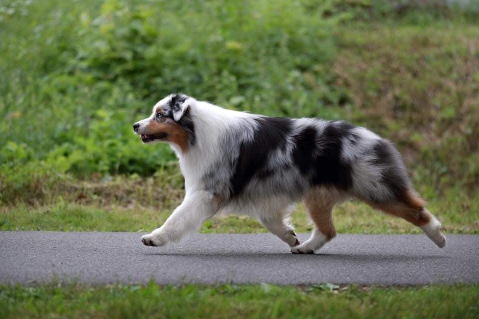 Publication : Dark Secret Garden