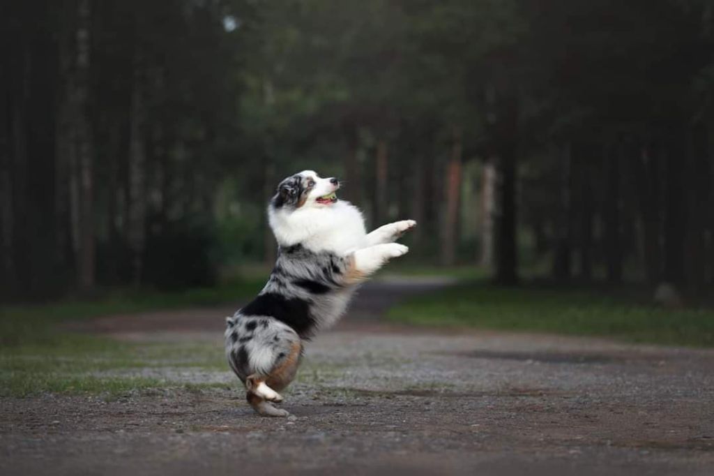 Publication : Dark Secret Garden