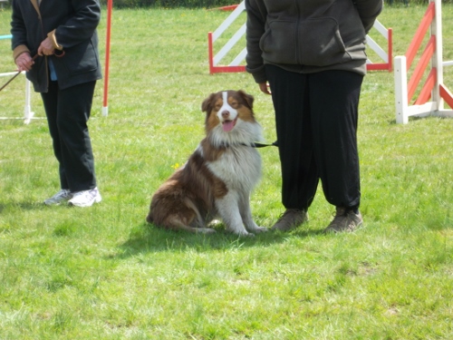 Garret sweet eyes du Chemin de la Lune aux Reves