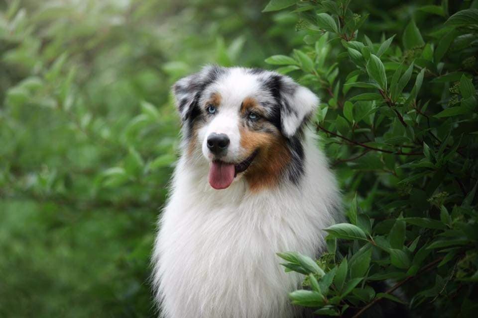 Publication : Dark Secret Garden