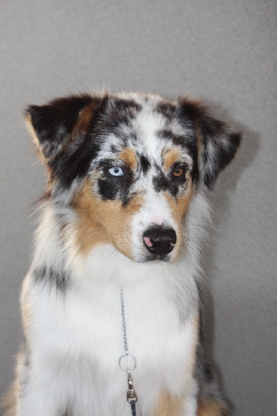 Guess des Wani - Yanpi - 4 ieme EXCELLENT JEUNE