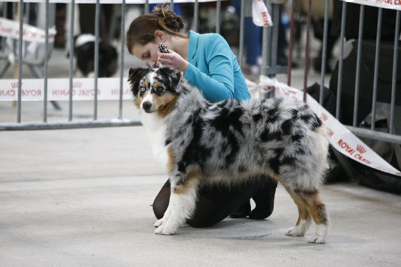 Guess des Wani - Yanpi - EXCELLENT 7 ième sur 20 OF