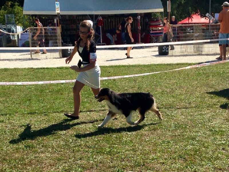 CH. Imperial isis black diamond du Chemin de la Lune aux Reves - 1 IER EXCELLENT