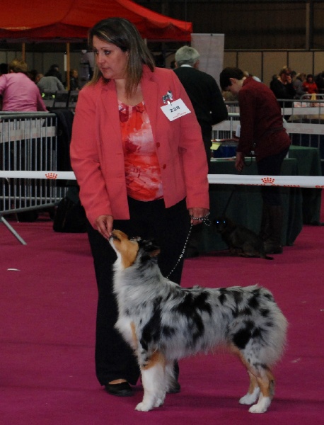 Guess des Wani - Yanpi - EXCELLENT NC