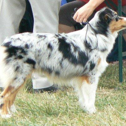 Guess des Wani - Yanpi - 2 ième EXCELLENT JEUNE