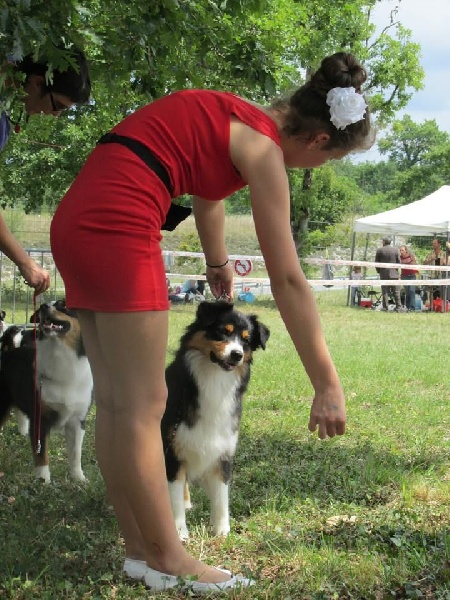 CH. Imperial isis black diamond du Chemin de la Lune aux Reves - 3 IEME EXCELLENT SUR 9