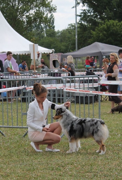 Guess des Wani - Yanpi - EXCELLENT NC