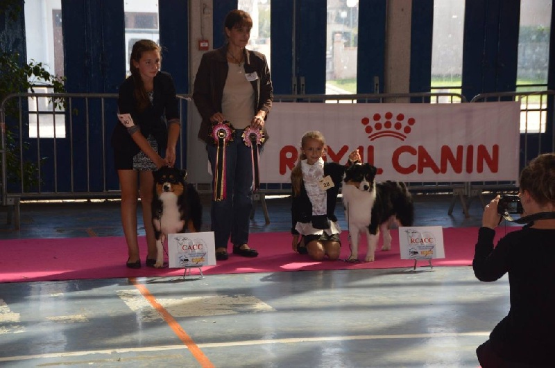 CH. Imperial isis black diamond du Chemin de la Lune aux Reves - 1 IER EXCELLENT CACC BOS RBIS