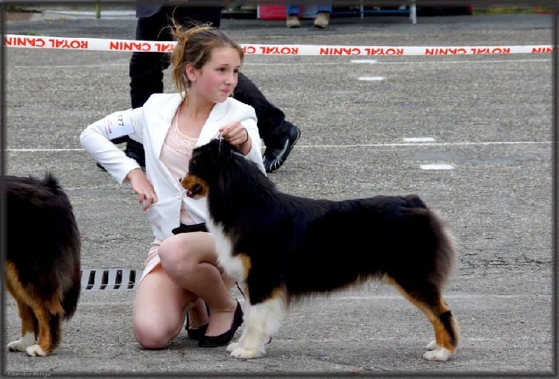 CH. Imperial isis black diamond du Chemin de la Lune aux Reves - 1 IER EXC BOB JUNIOR