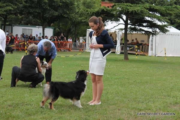 CH. Imperial isis black diamond du Chemin de la Lune aux Reves - 2 IEME EXC RCACIB RCACS