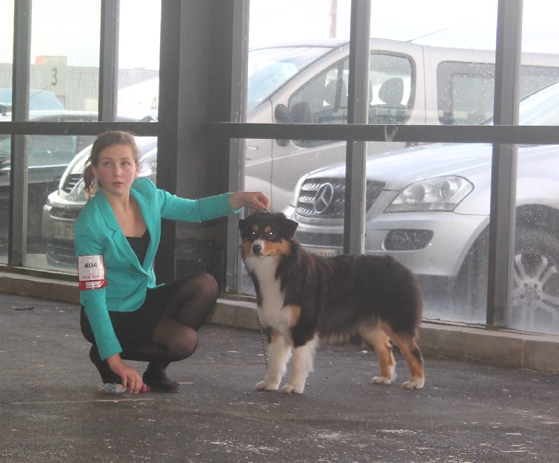 CH. Imperial isis black diamond du Chemin de la Lune aux Reves - 3 IEME TP sur 10