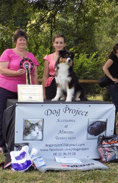 CH. Imperial isis black diamond du Chemin de la Lune aux Reves - 1 ier EXC RCACC