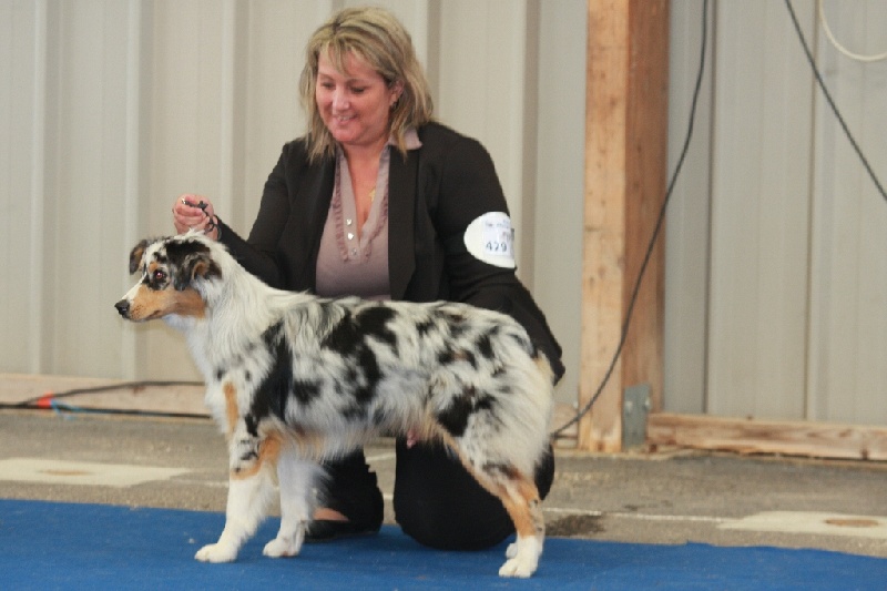 Guess des Wani - Yanpi - PROMETTEUR