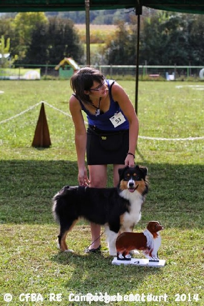 CH. Imperial isis black diamond du Chemin de la Lune aux Reves - 4 IEME EXCELLENT