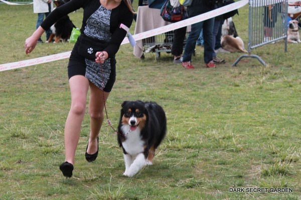 CH. Imperial isis black diamond du Chemin de la Lune aux Reves - 1 IER EXC RCACS