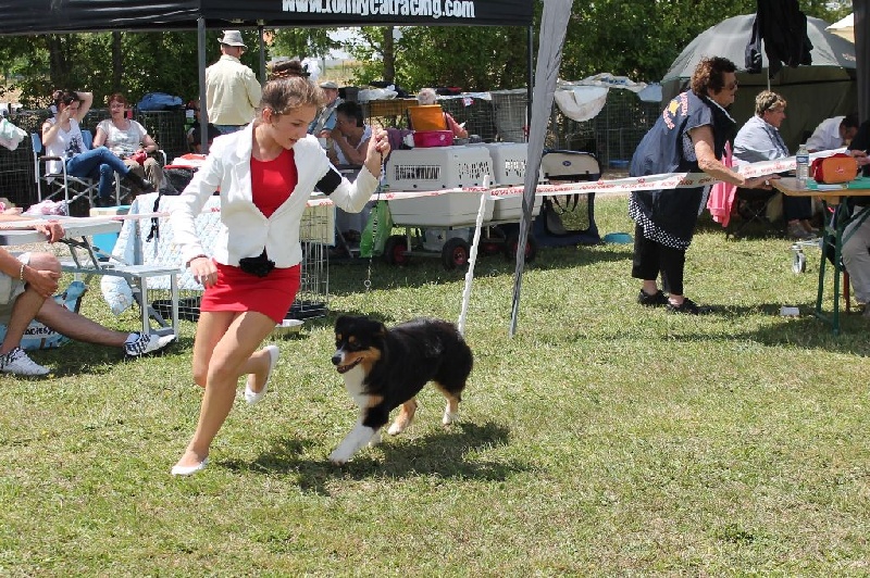 CH. Imperial isis black diamond du Chemin de la Lune aux Reves - 1 IER EXC BOBJUNIOR BOG JUNIOR 2