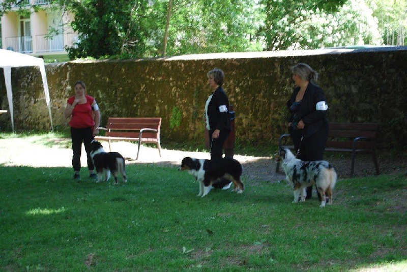 Guess des Wani - Yanpi - 3 IEME EXCELLENT JEUNE