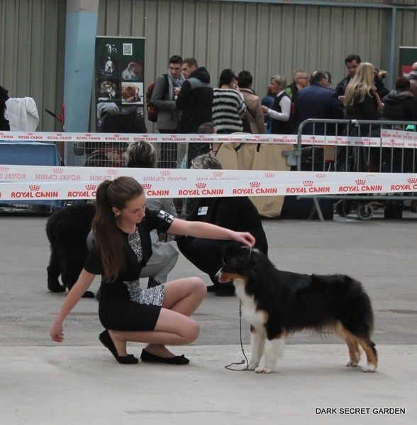 CH. Imperial isis black diamond du Chemin de la Lune aux Reves - 2 IEME EXCELLENT