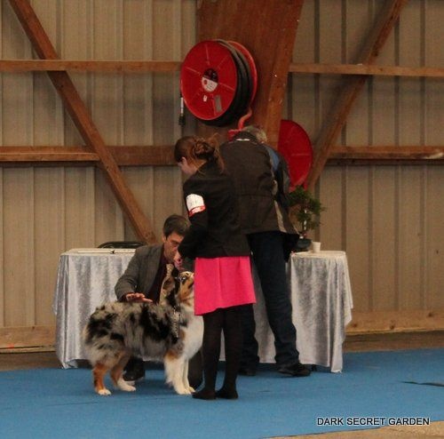 Guess des Wani - Yanpi - EXCELLENT OF