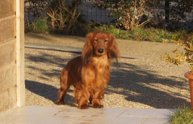 Publication : Du Jardin D'easy Auteur : Du Jardin d'Easy