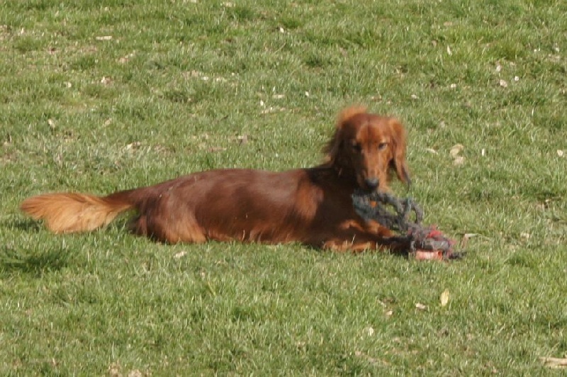 Publication : Du Jardin D'easy Auteur : Du Jardin d'Easy