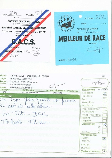 Fest noz Du cap des embruns - CACS - 1er excellent Meilleur de Race