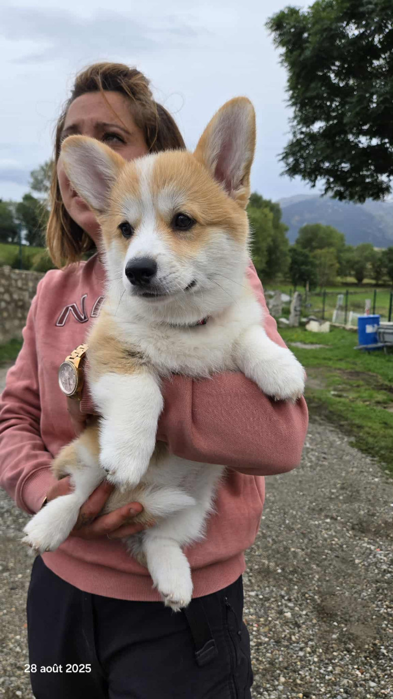 Austine du Chemin des Contrebandiers