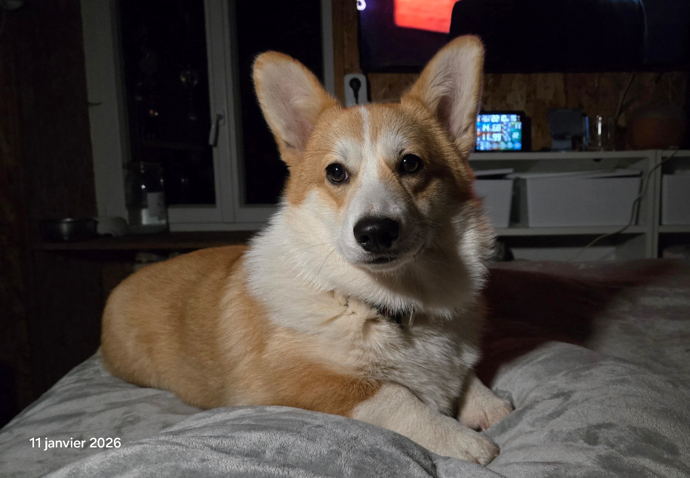 Austine du Chemin des Contrebandiers