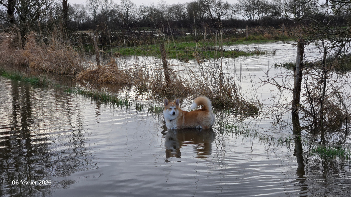 Austine du Chemin des Contrebandiers