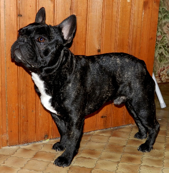 Publication : De la Parenthèse Enchantée Auteur : S. Dupuy