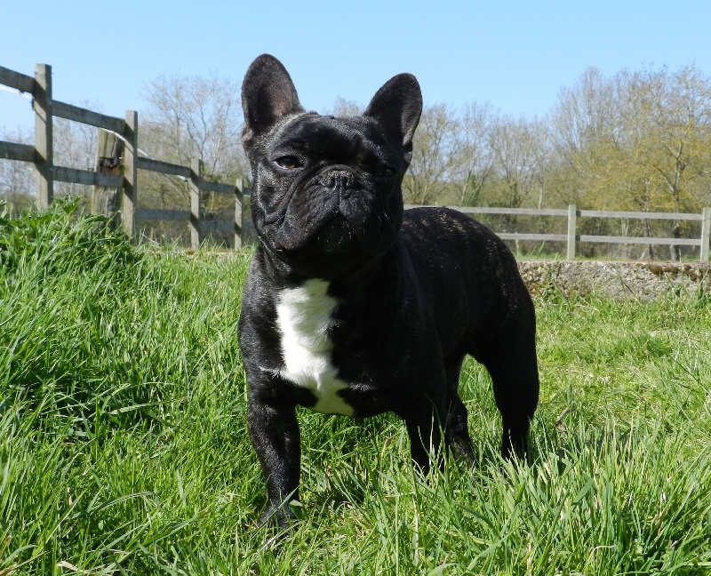 Publication : De la Parenthèse Enchantée Auteur : S. Dupuy