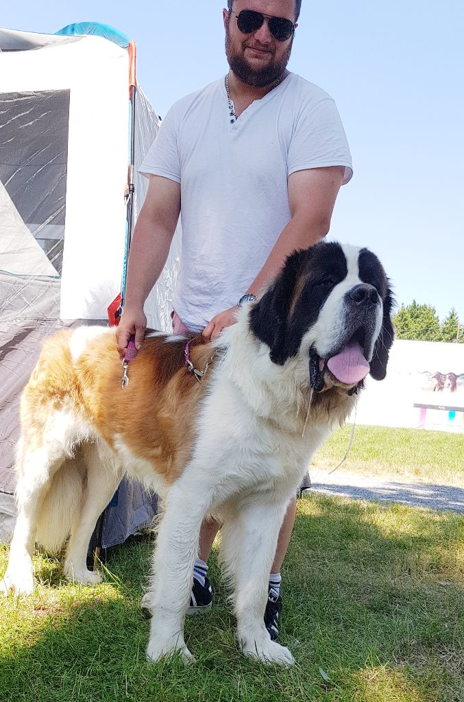 Romeo di villa vogel - CACS 1er exc meilleur race sexe opp