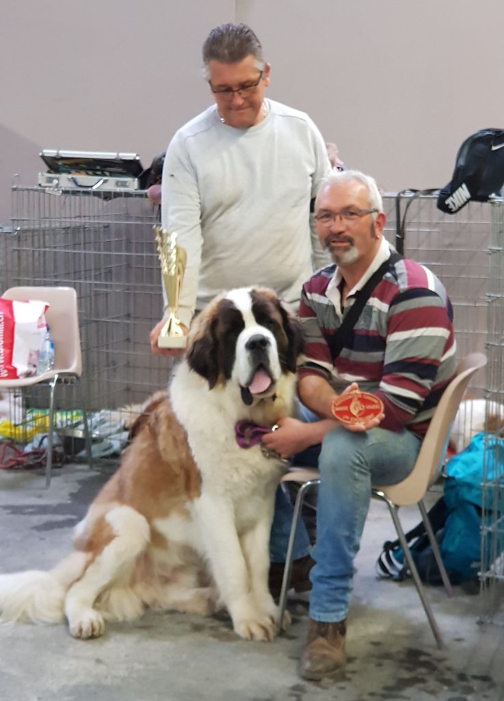 Romeo di villa vogel - 1 excellent meilleur jeune