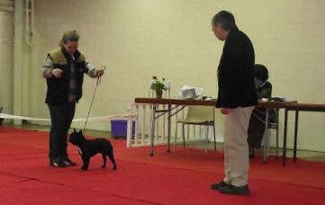 Giorggio du domaine de Cateline - EXCELLENT