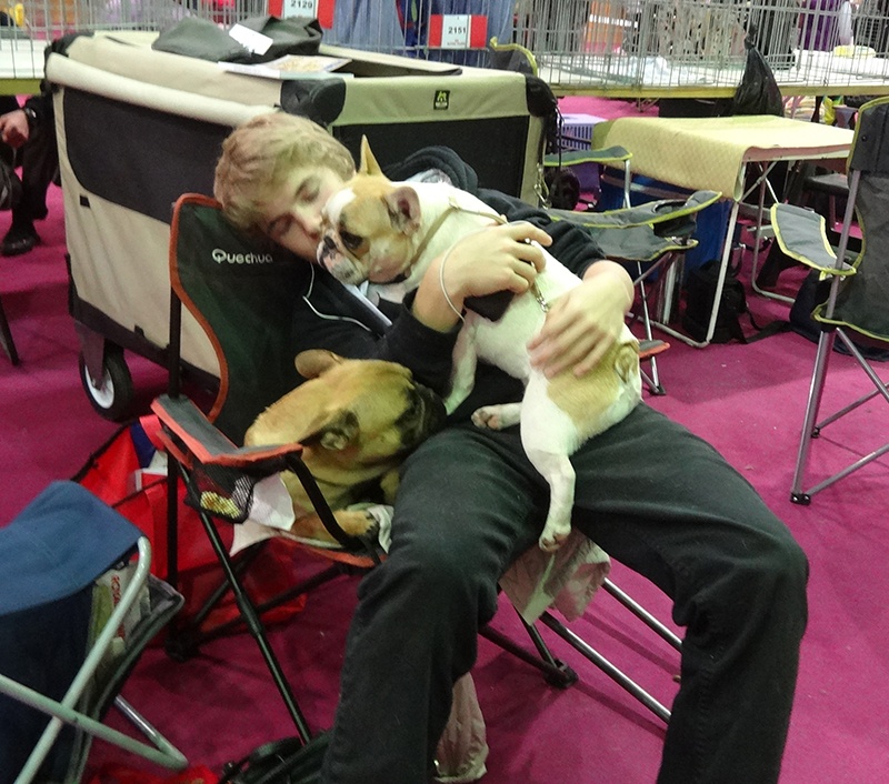 Honey du Domaine des Molosses - 1er Prometteur