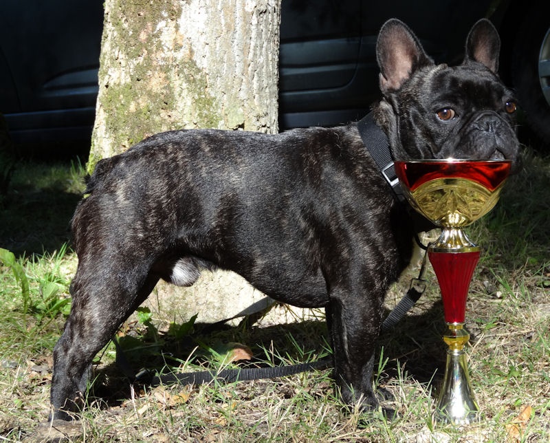 Giorggio du domaine de Cateline - 3eme Excellent