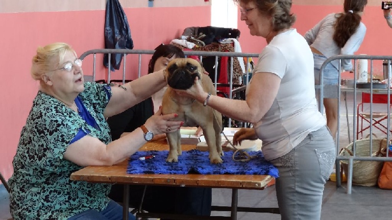 Honey du Domaine des Molosses - Excellent