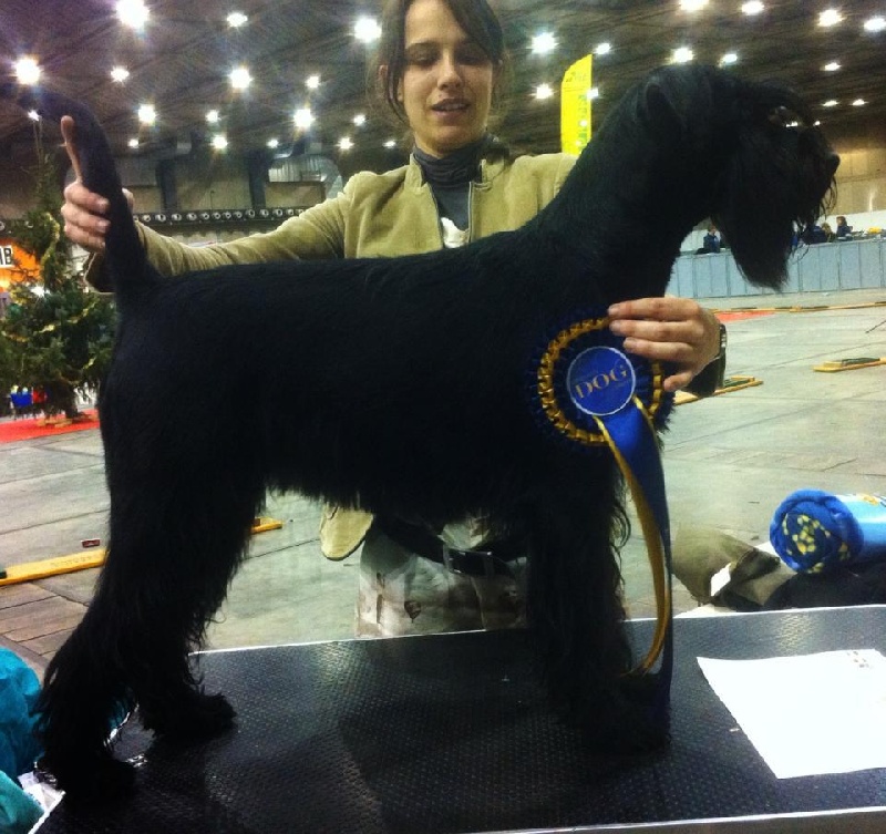 Publication : De Voxanoire