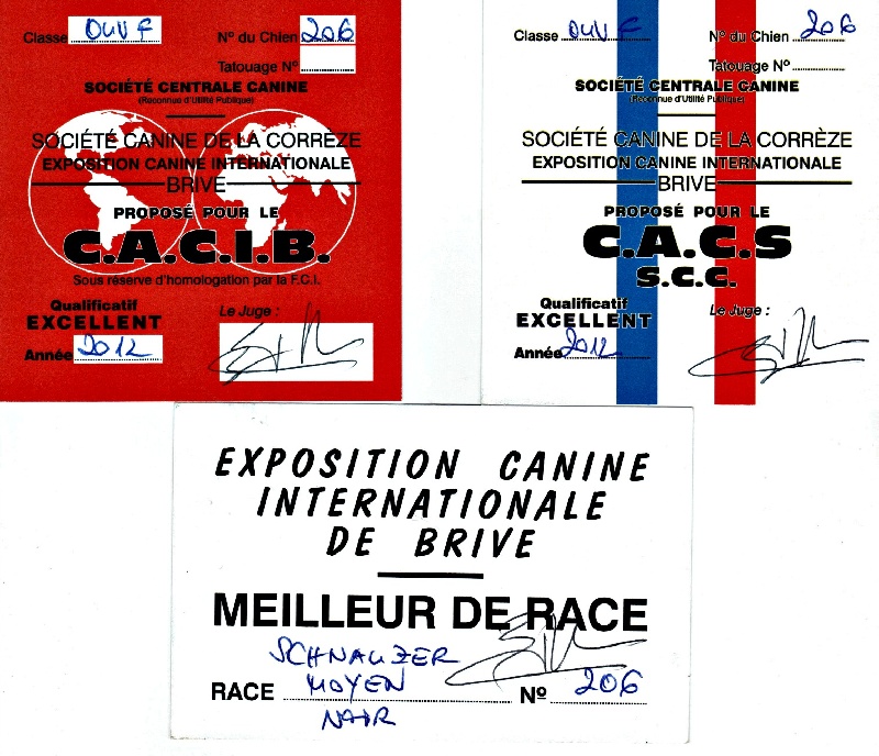 For you too (dite chloe) Coeur De Masai - 1er EXCELLENT, CAC, CACIB, BOB