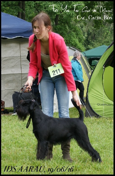 For you too (dite chloe) Coeur De Masai - 1er EXC, CAC, CACIB, Meilleur de sexe opposé