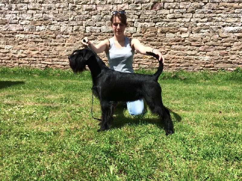 For you too (dite chloe) Coeur De Masai - 2ème Excellent, RCAC