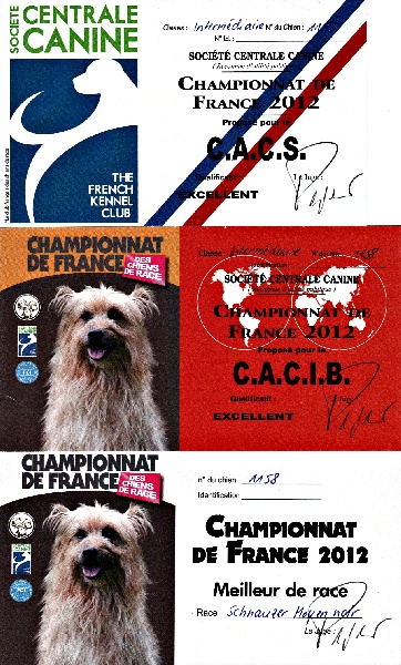 For you too (dite chloe) Coeur De Masai - CAC, CACIB, BOB