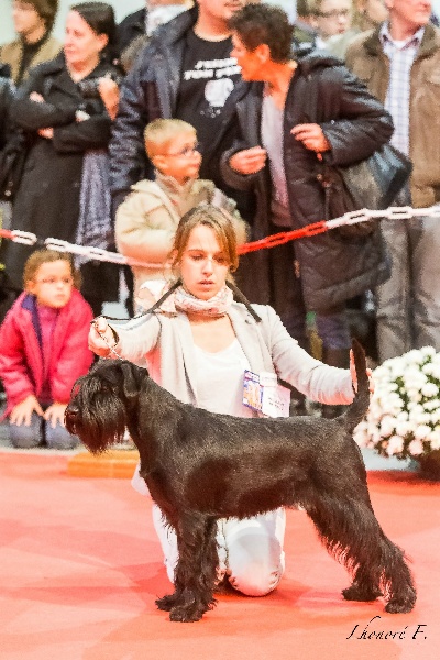 For you too (dite chloe) Coeur De Masai - CAC, BOB