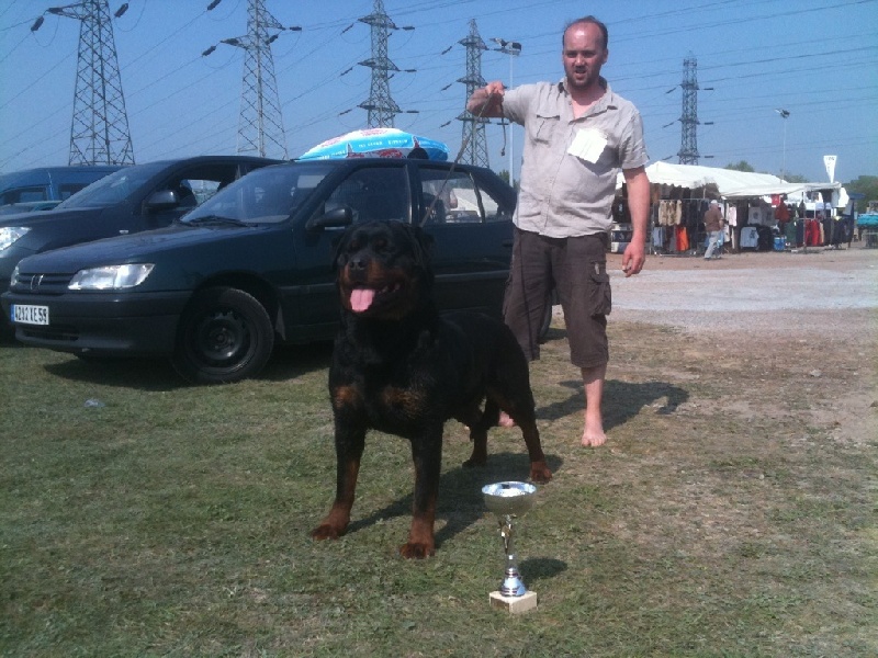 Publication : des templiers d'orka Auteur : M MOUCHON.L