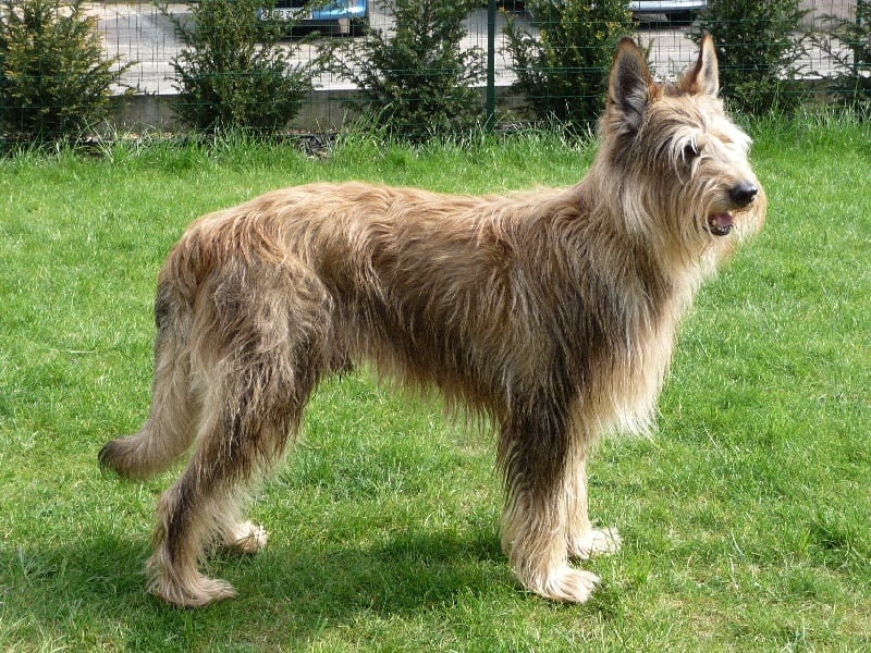 Publication : de la vallée du menhir