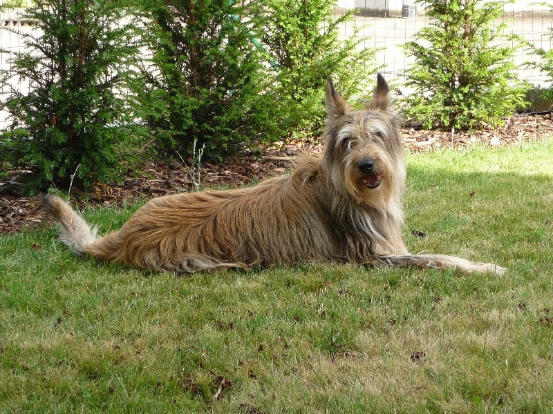 Publication : de la vallée du menhir