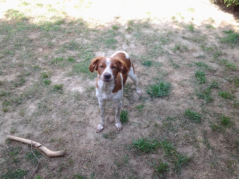 Isoline De La Plaine D'oya